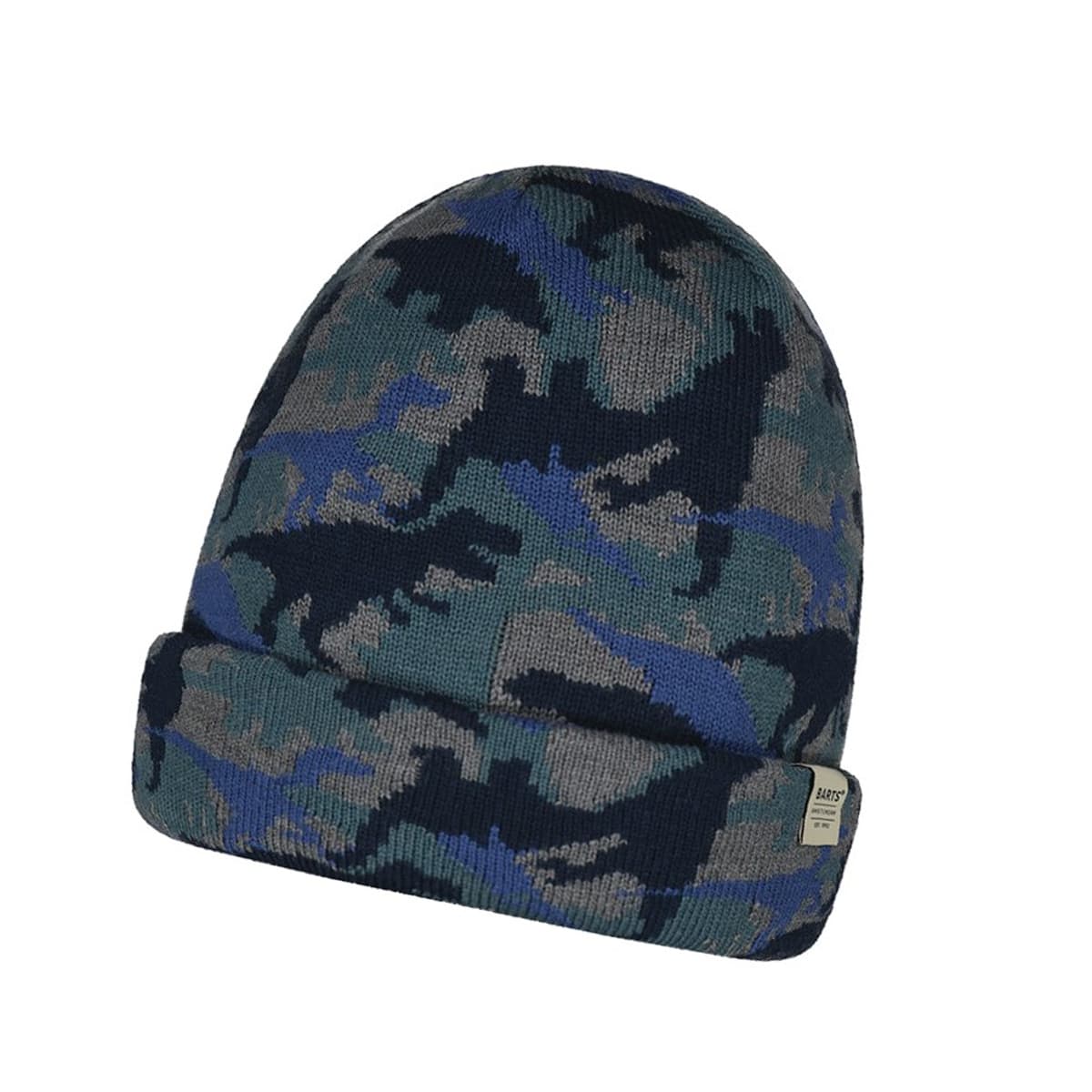 BARTS | Beanie