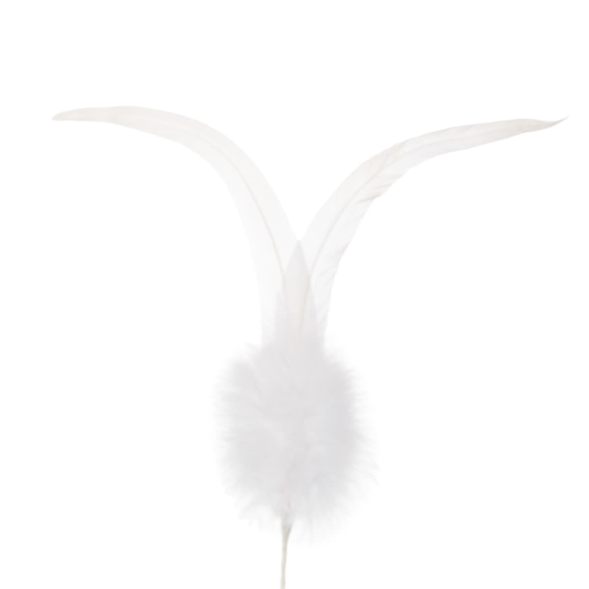 Plumes de coq blanches 2 pi�ces avec duvet 2e qualit�