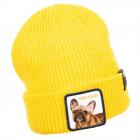 GOORIN | Motif : Bonnet tricot� High class Watch Cap jaune
